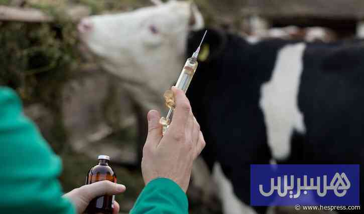 أساتذة بياطرة يناشدون وزارة المالية