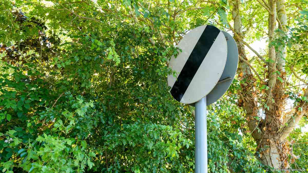 Drivers urged to learn meaning of black stripe road sign 'most don't know'
