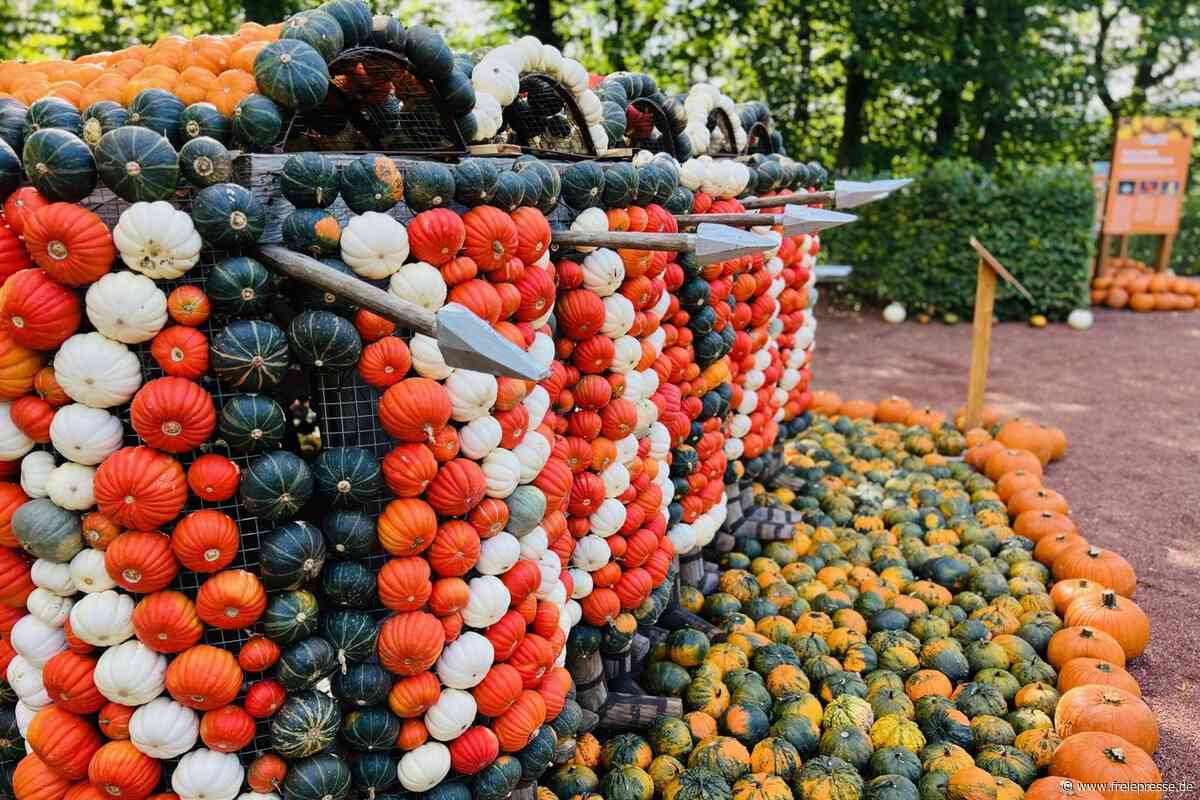 So lief die erste Woche des Kürbisfestivals Lichtenwalde 2026