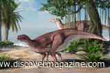 Swelling on an Iguanodon Shinbone May Reveal the First Known Infected Ulcer in a Dinosaur