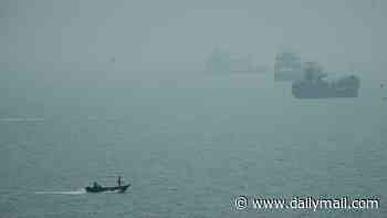 US Navy launched top secret four-month mission to clear mines from the Strait of Hormuz in risky night time operation