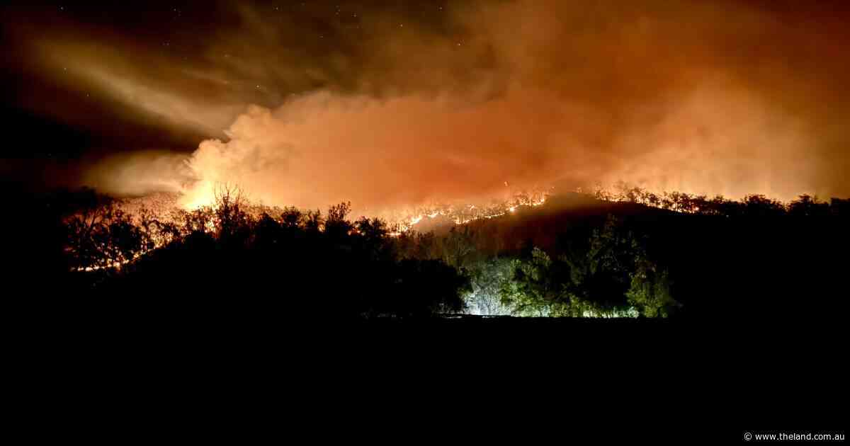 'It's so dry': landholders face drought and fire amid warnings to be prepared