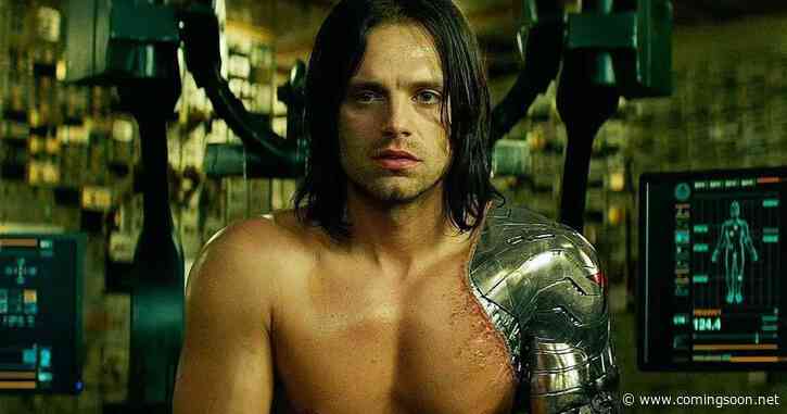 Sebastian Stan’s Dark, Low-Budget Winter Soldier Thriller Pitch Has Fans Going ‘Hell Yeah’