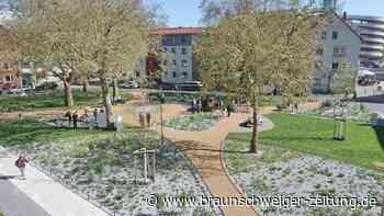 Velorouten, Pocketparks oder Parkplätze: Was wollen Braunschweigs OB-Kandidaten?