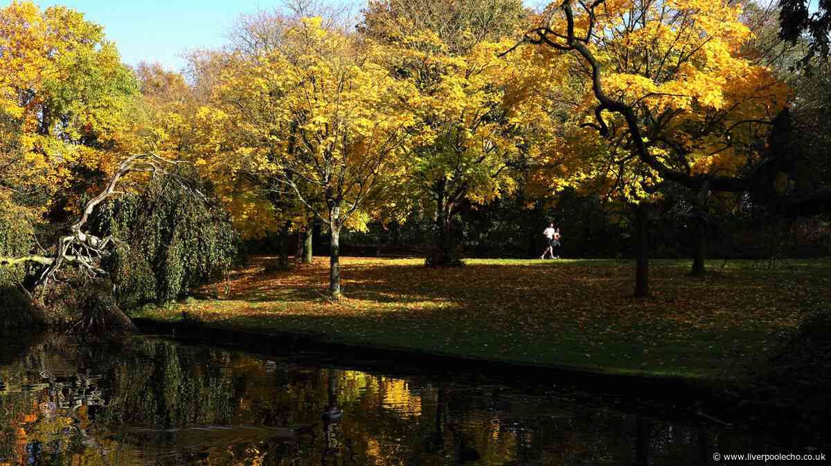 Will there be a heatwave in September as Met Office issues verdict on 'warm days'
