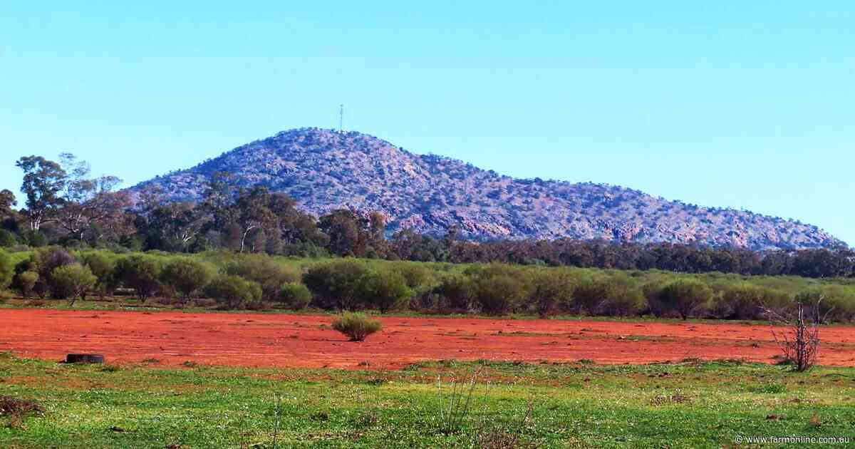 How to buy a big slice of outback NSW for $3.5 million