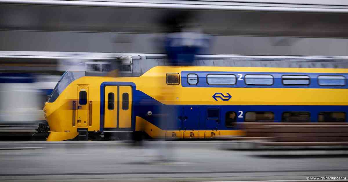 Geen treinen tussen Leerdam en Geldermalsen na aanrijding bij Beesd