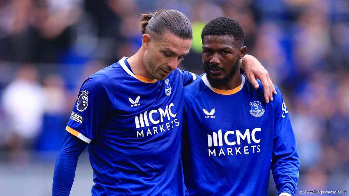 Everton trio present Tottenham Hotspur selection dilemma as David Moyes could change shape