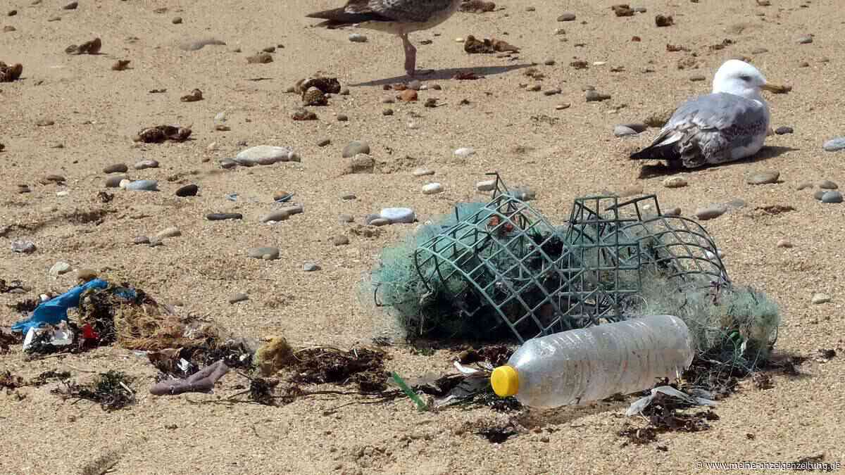 „Pac-Man-Enzym“ frisst sich durch Plastik – und kann sogar Antibiotika wirkungslos machen