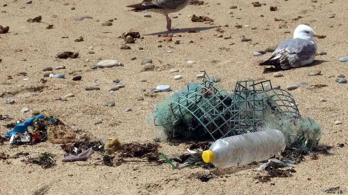 „Pac-Man-Enzym“ frisst sich durch Plastik – und kann sogar Antibiotika wirkungslos machen