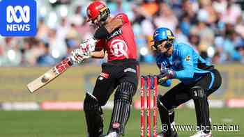 Cricket Australia agrees to bring private investment to Big Bash