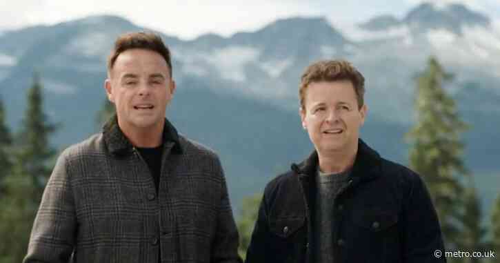 I’m A Celebrity camp in ‘lockdown’ after bear attack on hiker