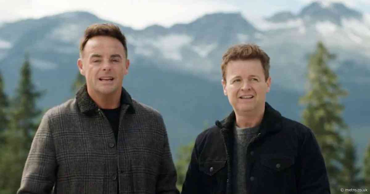 I’m A Celebrity camp in ‘lockdown’ after bear attack on hiker