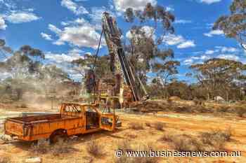Black Cat appoints Stone as acting MD