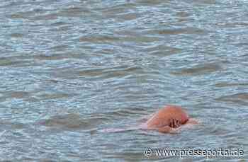 POL-HB: Nr.: 0591 --Leblos im Kaiserhafen--