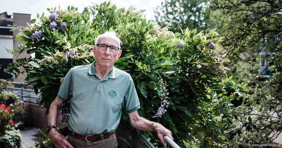Theo (85) was eenzaam, toen kwam dat ene telefoontje: ‘Hoe gaat het met u, meneer?’