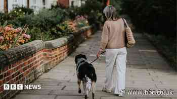 Dog walkers poo bag fines considered by council