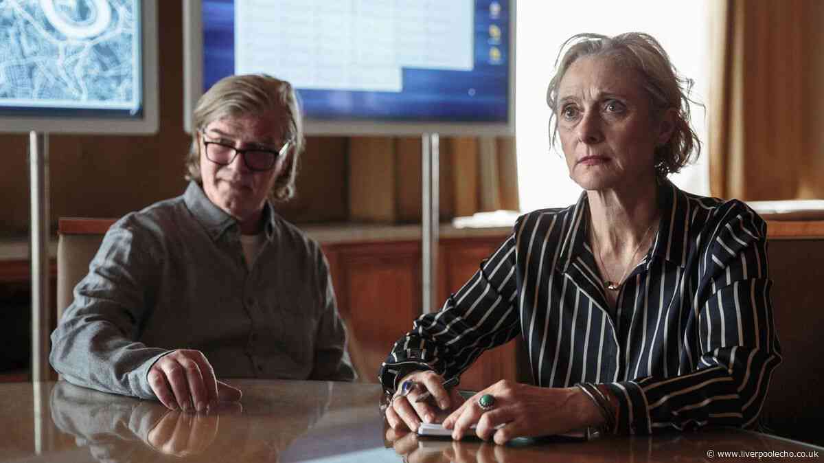 Channel 4 crime drama fans of The Fall will love as viewers are left begging for more