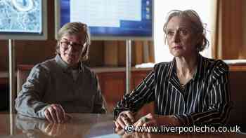 Channel 4 crime drama fans of The Fall will love as viewers are left begging for more