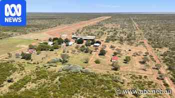 NT cattle station sells for $26m after carbon plan crashes
