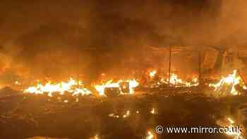 NATO fighter jets scrambled in Europe as Putin strikes civilians – at least 2 dead