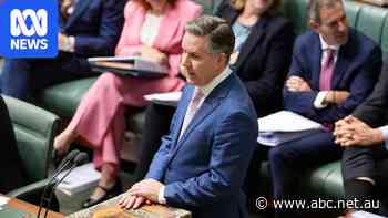 Live: Butler disagrees with Minns's link between illicit tobacco and smoking rates