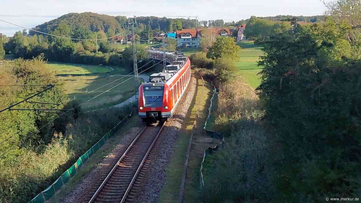 Zauneidechsen ziehen um: Bahn fängt mehr als 20 Tiere vor Gleisausbau