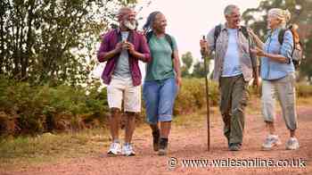 Japanese walking method 'boosts cardiovascular fitness and engages muscles'