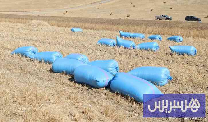 اللوكوس يسجل خصاص اليد العاملة