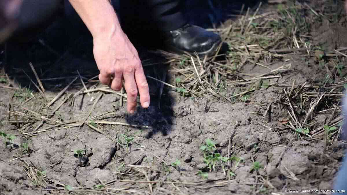 Sabotage am Stromnetz: Polizei findet Bekennerschreiben