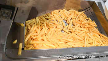 Belgische industrie maakt vooral minder frites