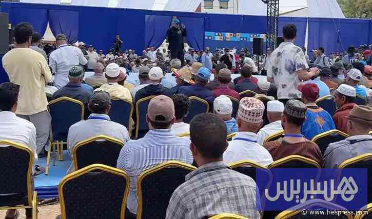 لقاء "الأحرار" بإيمي نتليت