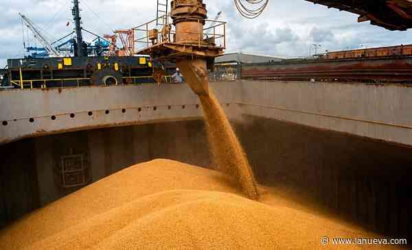 El tractor de la exportación: las cifras que explican el liderazgo de la agroindustria argentina