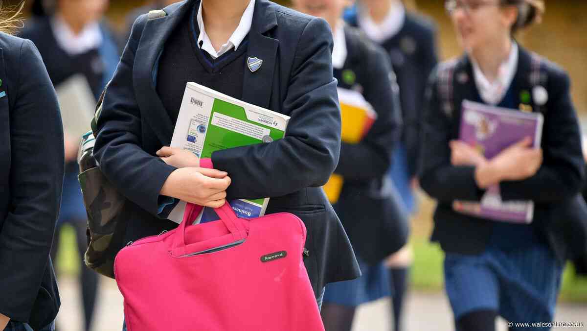 The serious questions the Welsh Government must face up to about its school reforms