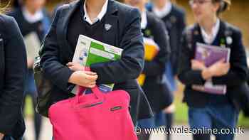The serious questions the Welsh Government must face up to about its school reforms