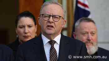 Albanese versus the feed: War on algorithms reignites free speech feud