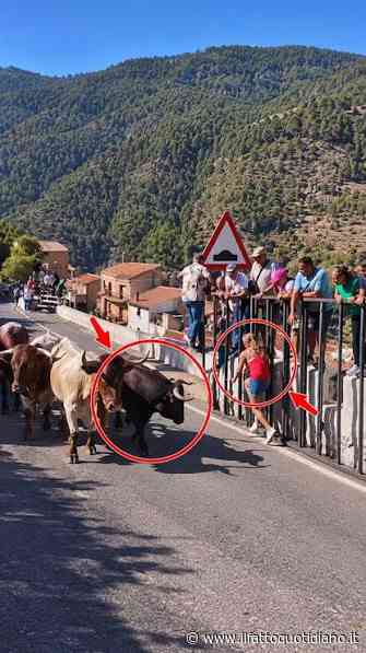 “È stata raggiunta mentre cercava di scappare”: esita un attimo fuori dalle transenne e viene incornata da un toro, 64enne muore durante l’encierro