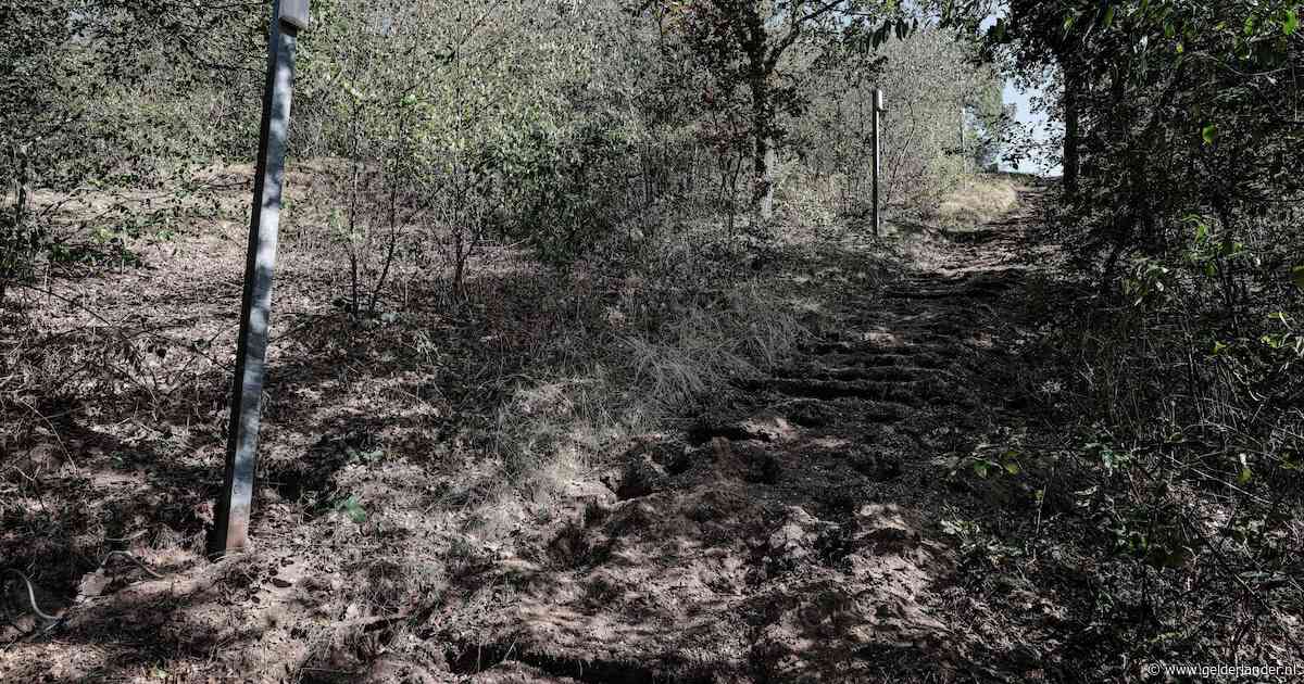 Tijdens het EK moeten mensen op deze trap fietsen: nu zijn de treden opeens verdwenen