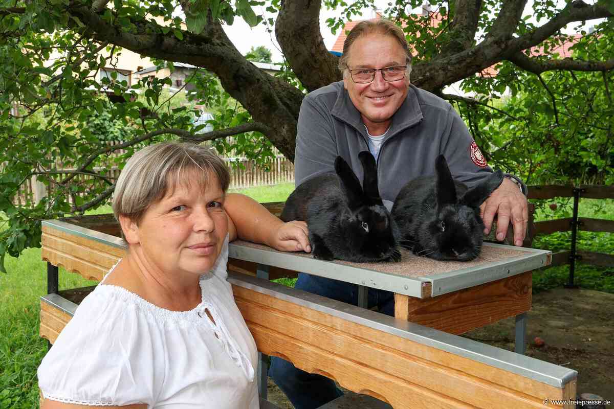 Kaninchenpark Meerane: Frau Lange steht an der Spitze eines Langohren-Vereins
