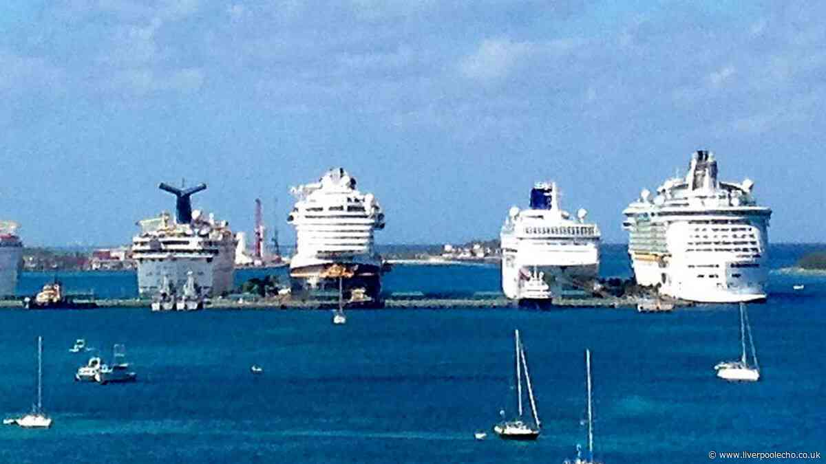 'I've been on hundreds of cruises and this is the best mainstream one – not Carnival or MSC'