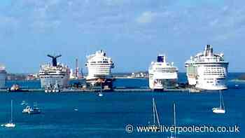 'I've been on hundreds of cruises and this is the best mainstream one – not Carnival or MSC'