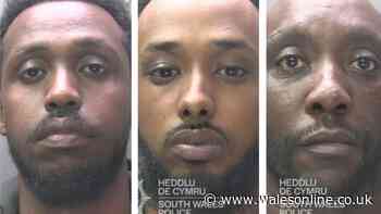 Gang who peddled misery on the streets of Swansea unmasked in court
