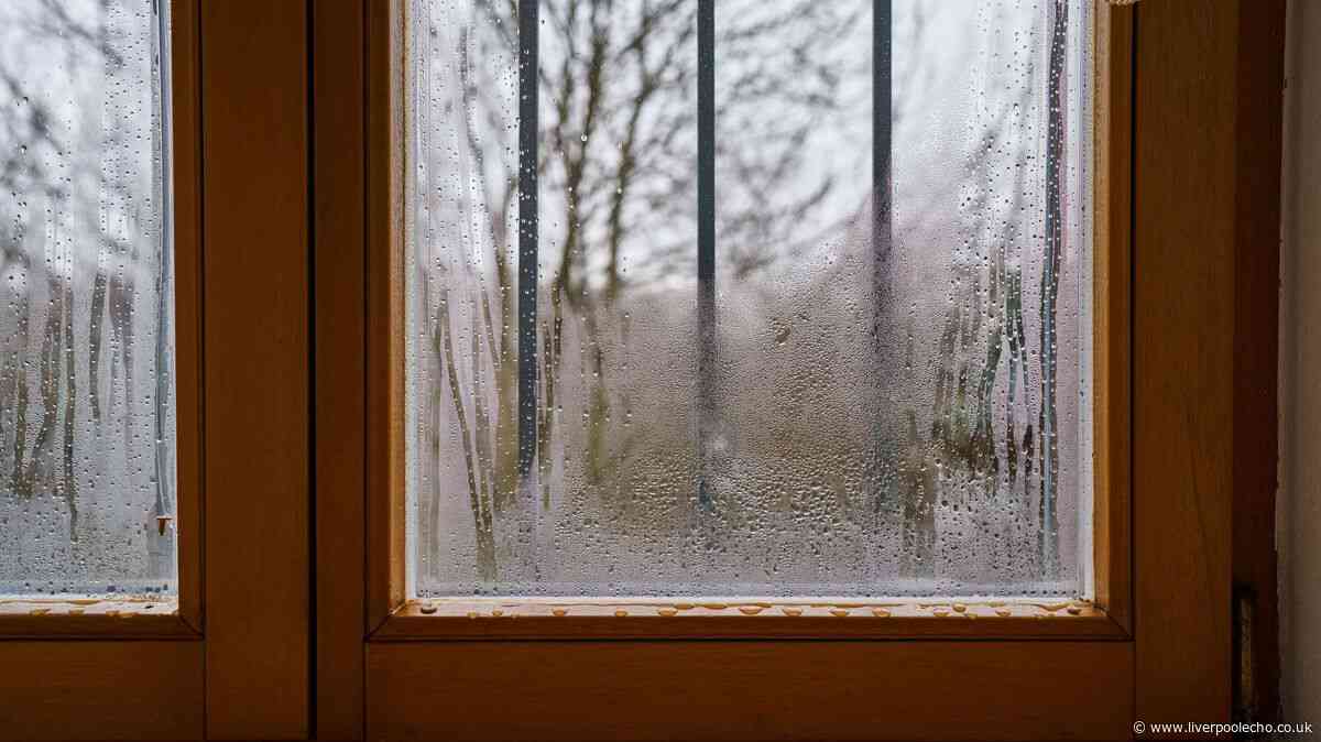 Keep condensation off your walls and windows with 1 simple furniture move