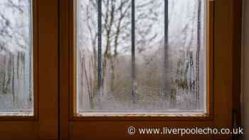 Keep condensation off your walls and windows with 1 simple furniture move