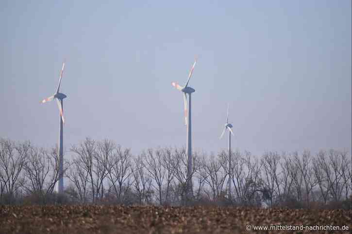 Stromerzeugung im 1. Halbjahr 2026: Erneuerbare Energien erreichen 59,1 Prozent