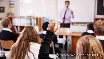 'Shocking, disappointing, woeful': Reaction to Wales' fall in the global schools Pisa scores - live
