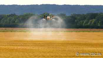 Manitoba 'flying farmhand' turns to drones to spray crops