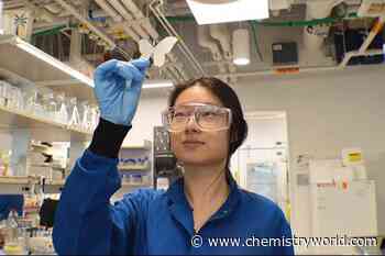 Butterfly-inspired structural colours could replace synthetic pigments