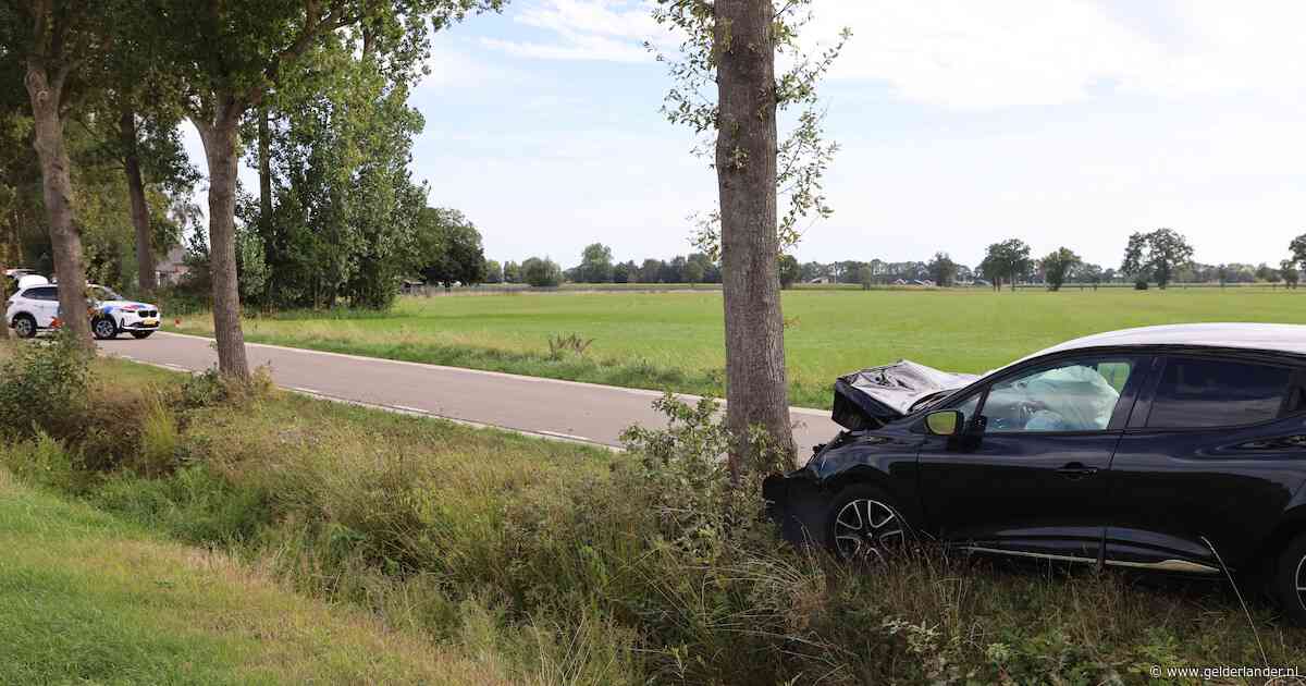 Peuter Donny overleden aan verwondingen na auto-ongeluk in Barneveld