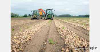 Vlaamse landbouw behoort tot Europese top